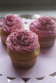 /album/cupcakes/dsc09486-jpg/